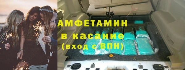 шишки Богородицк