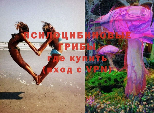 шишки Богородицк