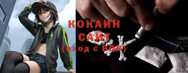 ПСИЛОЦИБИНОВЫЕ ГРИБЫ Богданович