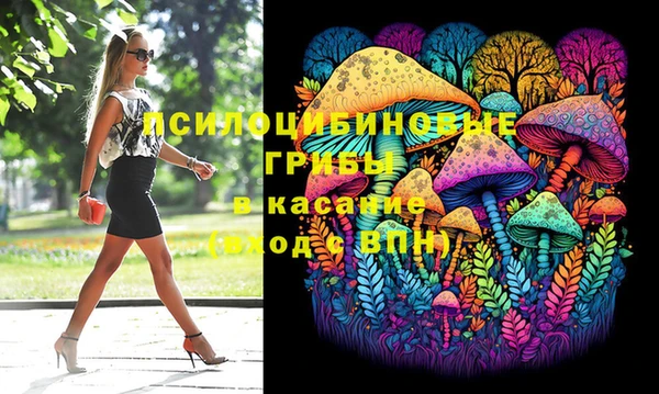 шишки Богородицк