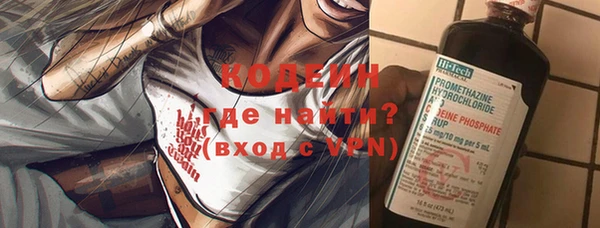 ПСИЛОЦИБИНОВЫЕ ГРИБЫ Богданович
